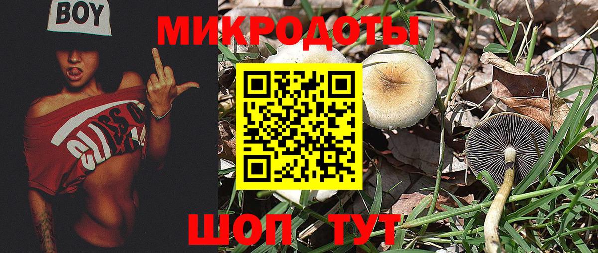 Галлюциногенные грибы мицелий  Вход с VPN  Тихвин 